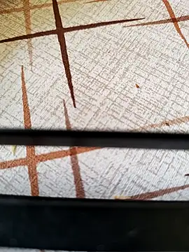 Hgay6935 Show Webcam