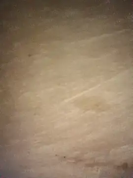 Sharmasamba Live XXX Chat