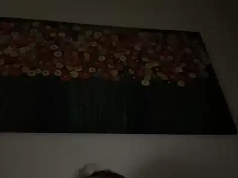 Show webcam de Argentino1977