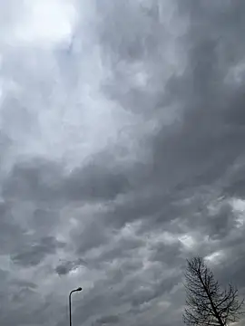 TARKAN1: απευθείας συνομιλία ΧΧΧ