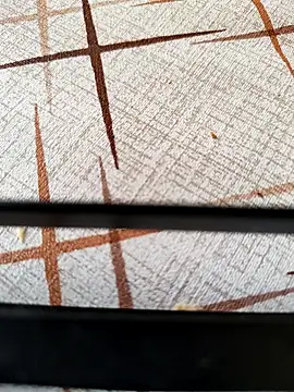 Czat XXX na żywo – Hgay6935