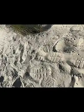 friemeldepiemel: διαδικτυακό σόου στην κάμερα