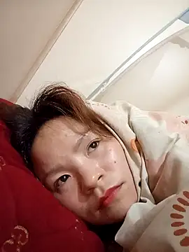 Pengodc 网络视讯表演