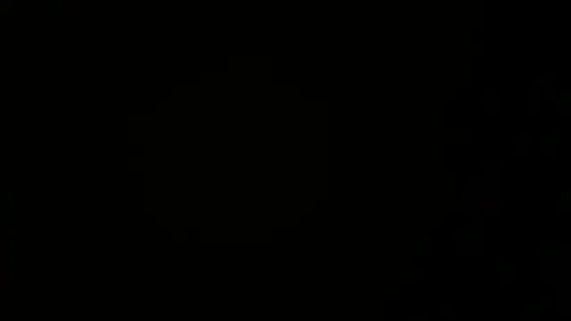 Show webcam de spreet117