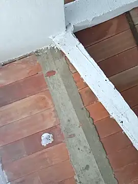 Cataleya_ja 现场XXX聊天