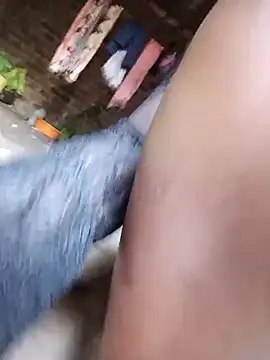 holygrail001 Live XXX-chat