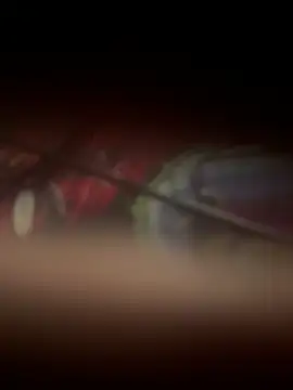 zozo971008 现场XXX聊天