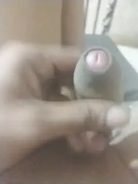 jenilmax's Live XXX Chat