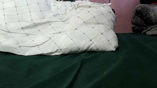 Bracylia Chat XXX in diretta