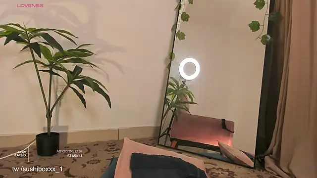 sushiboxxx 웹캠 쇼