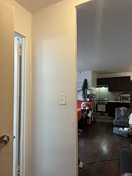 littyleesh1's Webcam Show