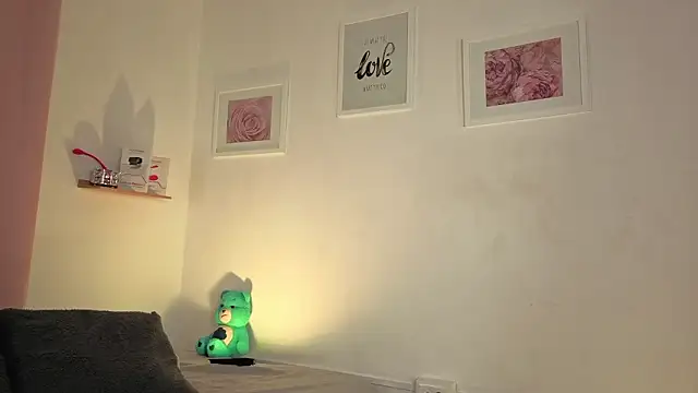 Chat XXX Live channel_conner05