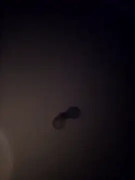 Pertunjukan Kamera Web hotasbiguy