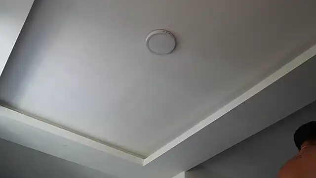 Show Webcam de NicoHeat