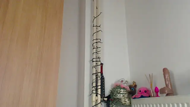 Chat XXX Live SPICYKC