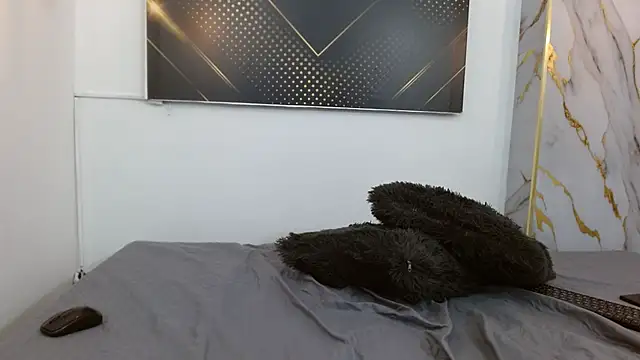 JohnsonFoxn Webbikameraesitys