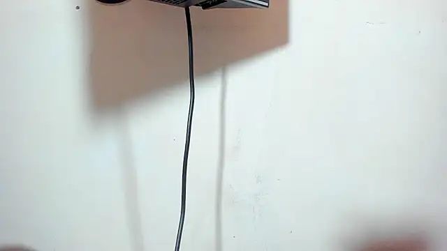 ZeusBrant 라이브 XXX 채팅