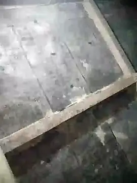 Loomaraj 现场XXX聊天