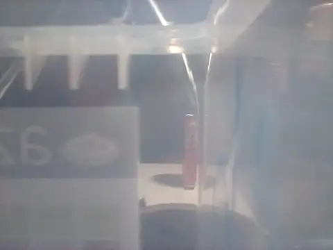 Show webcam de Dunkas69