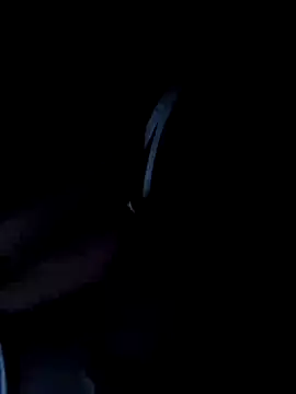 Pertunjukan Kamera Web ndivhuwomuleya