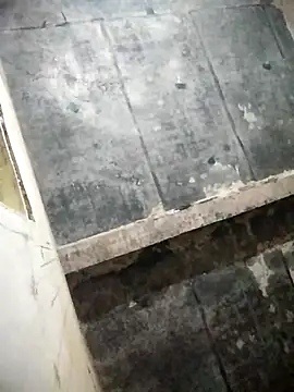 Loomaraj's Webcam Show