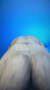 juancho_hairy Show Webcam