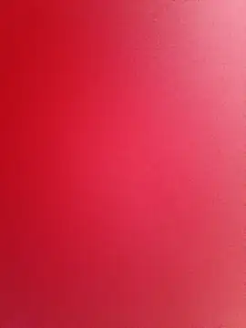 raposasexy724 라이브 XXX 채팅