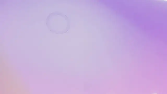 SusanAdams1 即時 XXX 聊天