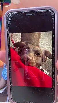 แ  ชท XXX สดของ lost_wood19