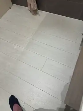 norton245n Webbikameraesitys