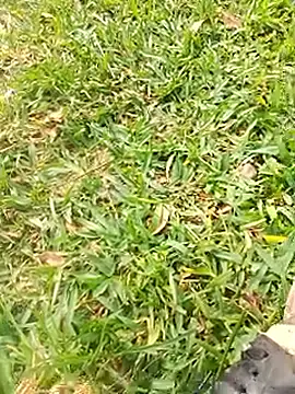 Leosexx 网络视讯表演