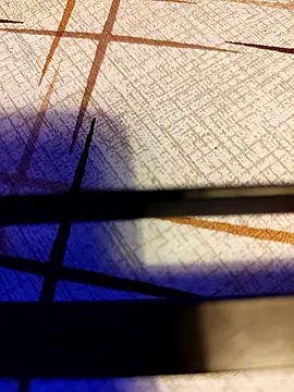 Show webcam de Hgay6935