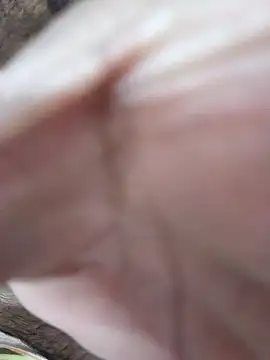 XXX chat uživo modela adicma123