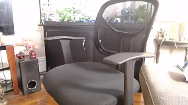 Show Webcam de EspanolVato