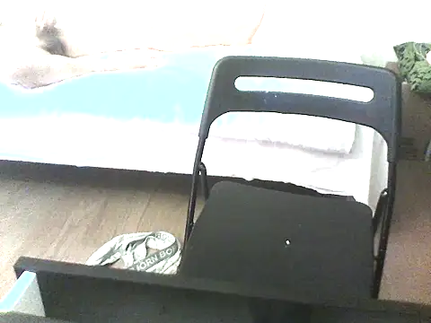 Вебкам-шоу DanOnCam