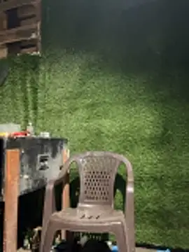 Czarnoksieznik 在線直播表演