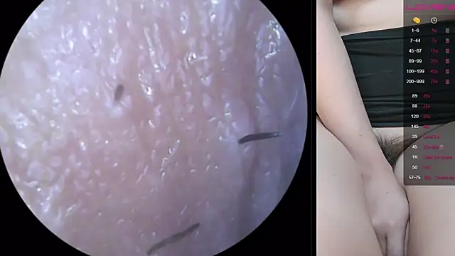 عرض كام sunny-ly