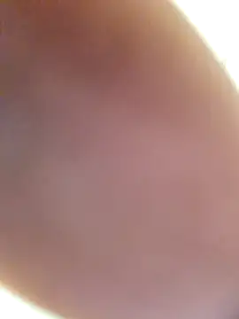 Pertunjukan Kamera Web Percy_ohv