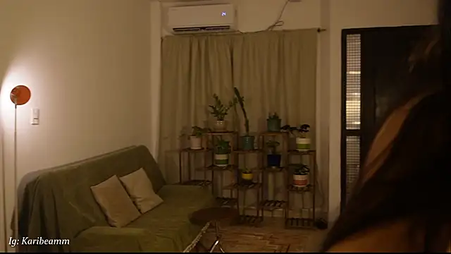 แชท XXX สดของ Karibeam