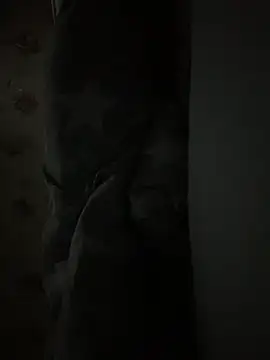 Donnydon776 webcam show