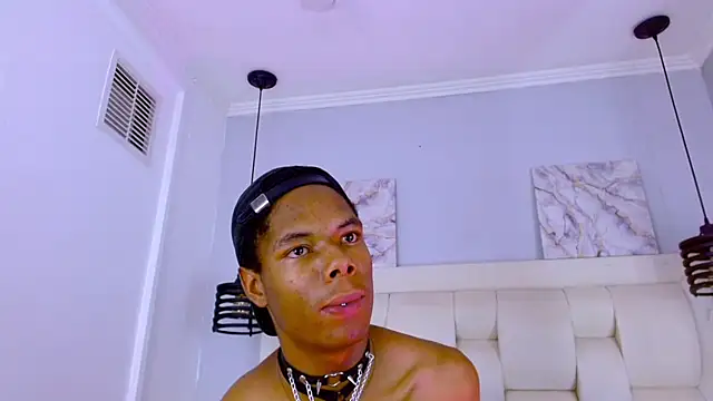 Santiago_Ortiz_n Webbikameraesitys