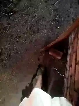 Chat XXX Live Ginny_2x