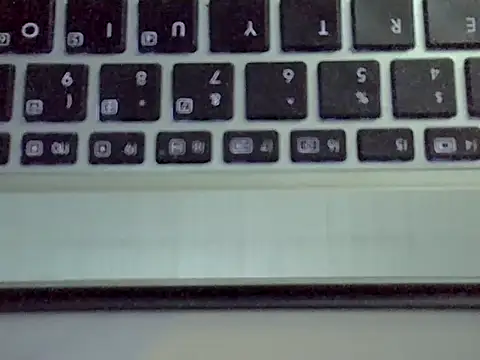 Delicious-D Webcam Show