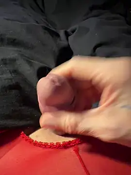 Show webcam de 69FanausFR