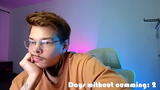 DENIS_HEREn Webbikameraesitys