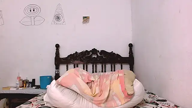 عرض كام FlexxPrimee