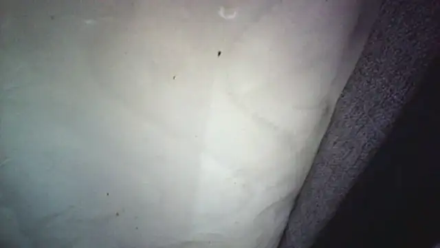 Pokazy przed kamerką – KungFuPanda001