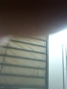 wadmma 网络视讯表演