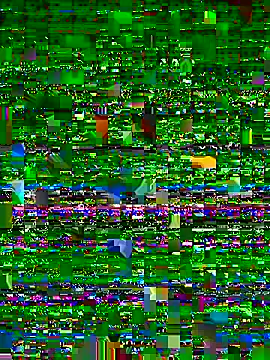 Sembang XXX Secara Langsung Flossy_Vettie