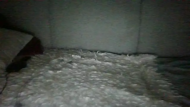 Chichoplus1のウェブカメラショー